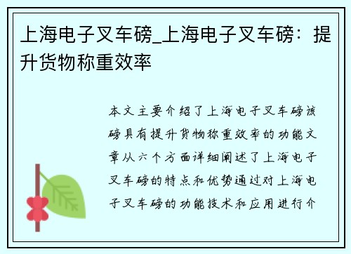 上海电子叉车磅_上海电子叉车磅：提升货物称重效率